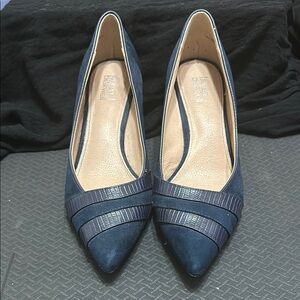 Navy Blue Heels with Pointed Toe and Slim Heel